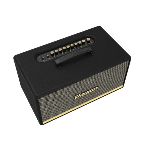 Hình ảnh Loa Di Động Xách Tay Paramax PASION 2